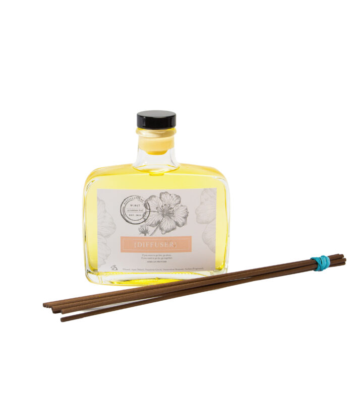 Distillations Diffuser Gift Set ( Glass)
